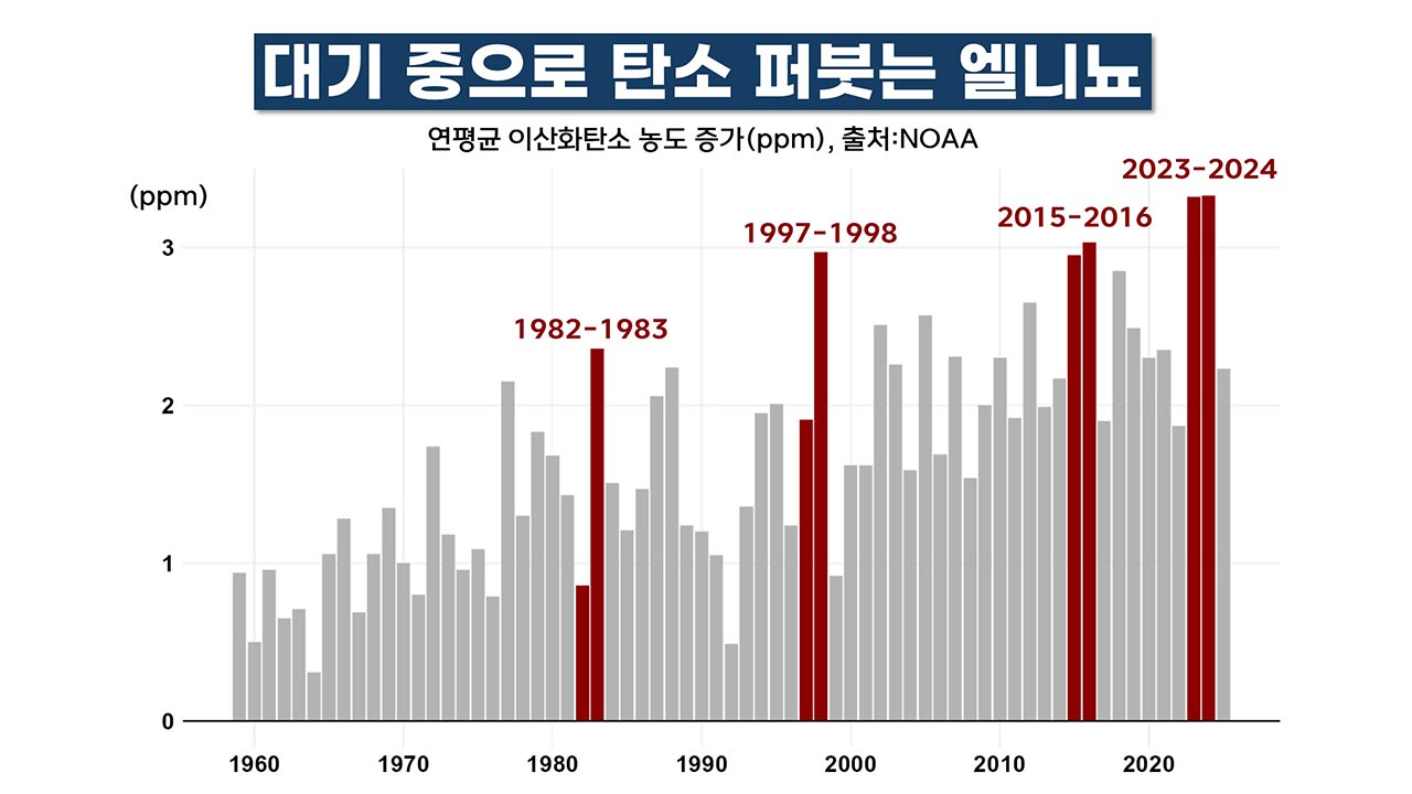 강력한 엘니뇨 발달 시작 "1.5도 저지선 붕괴 카운트다운"  [기후인사이트 25 | 인싸M]