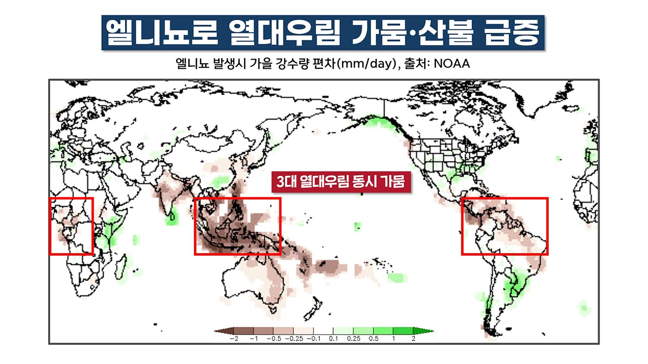 강력한 엘니뇨 발달 시작 "1.5도 저지선 붕괴 카운트다운"  [기후인사이트 25 | 인싸M]