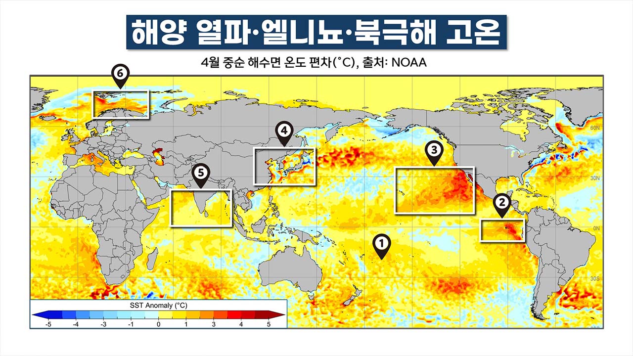 "위험한 여름 될 것" 역대급 해양열파·엘니뇨·북극냉기 충돌? [기후인사이트 26 | 인싸M]