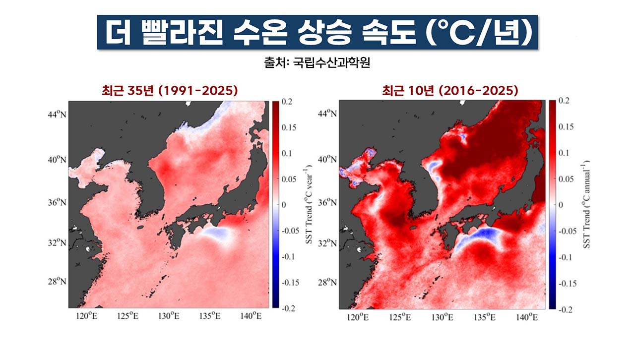 "위험한 여름 될 것" 역대급 해양열파·엘니뇨·북극냉기 충돌? [기후인사이트 26 | 인싸M]