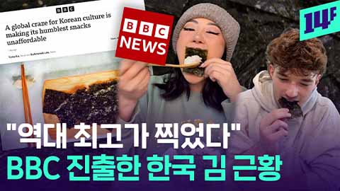 [14F] “왜 비싸졌나 했더니”... BBC도 걱정하는 역대 최고가 한국 김값 근황