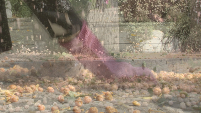 엠빅비디오 제가 은행을 털어보았습니다