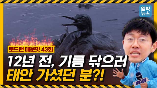엠빅X로드맨 태안 앞바다에서 일어났던 역대 최악의 기름유출사고 12년이 지난 지금 태안을 덮친 또 다른 문제는