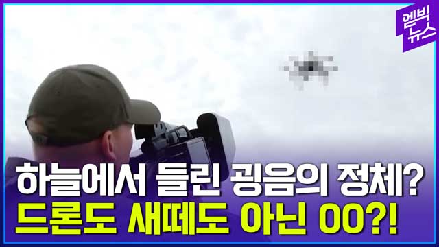 엠빅뉴스 새떼 보고 놀란 가슴 풍선 보고 놀란다