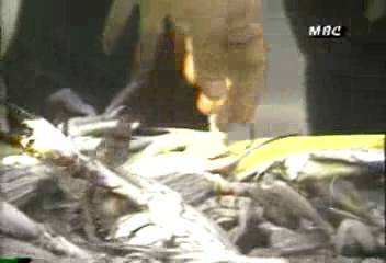 소래포구 관광어촌단지 개발김규서