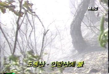 도봉산 인왕산 산불전용학