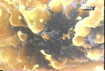 국방부 군사 기밀 관계 규정 검토이인용