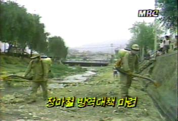 보사부 장마철 방역 대책 마련 각 시도에 시달백지연