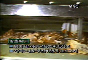 정부 수입 쇠고기 방출량 확대신동욱