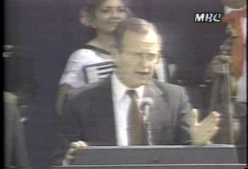 미국 출범 앞둔 부시 행정부의 과제조정민