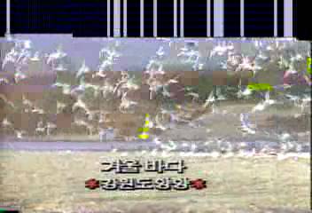 데스크영상겨울바다 강원도 양양