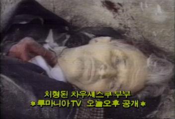 차우셰스쿠 부부 처형 직후 장면