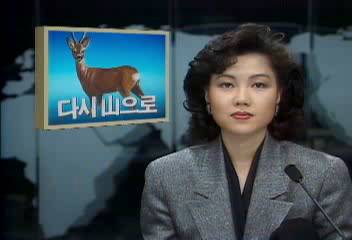 야생 노루와 고라니등 다시 산으로김주태