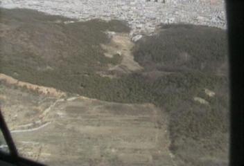 내년 녹지보전지역 지정정혜정