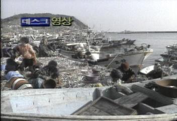 데스크 영상양미리 풍어