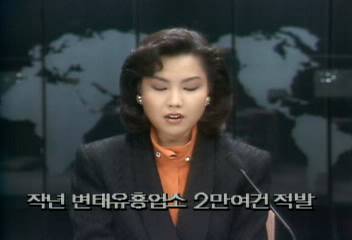 작년 변태 유흥업소 2만여 건 적발백지연