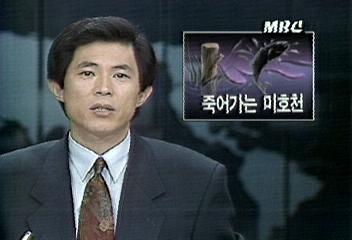 폐수 하수로 죽어가는 미호천김기수