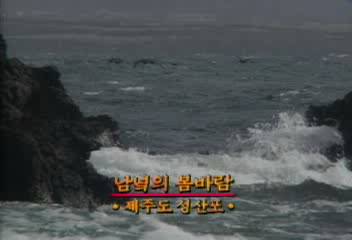 데스크영상남녘의 봄바람 제주도 성산포
