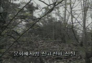 문화체육부 문화재 사범 신고전화 신설김지은