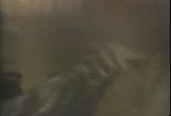 데스크영상동물원의 봄경기도 용인임병길