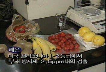 수입 과일 농약 유해 속수무책홍예원
