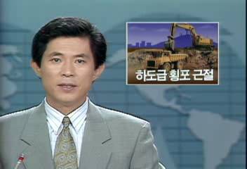 정부 부실공사의 원인 하도급 횡포 처벌 강화로 근절권재홍