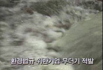 환경처 환경법규 위반기업 무더기 적발백지연