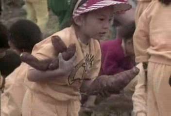 데스크 영상농촌자연학습 청계산