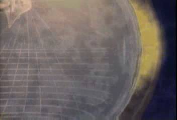 내일의 날씨김동완