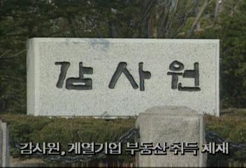 감사원 계열기업 부동산 취득 제재백지연