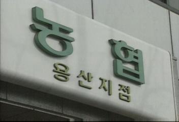 은행감독원 농협 용산지점 카드 부정 발급정일웅
