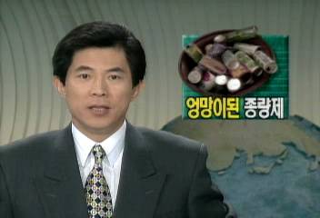 쓰레기종량제 실시초기 홍보 준비부족 등으로 문제점 많아오정환