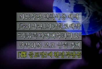 군단위 지역의 골프장과 콘도미니엄에 환경개선부담금 부과정혜정