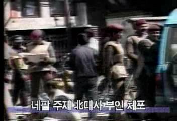 네팔주재 북한대사 부인 외화 밀반출 기도혐의로 체포정혜정