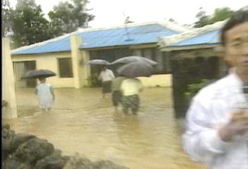 제주지방 호우경보 내려진 가운데 곳곳에 비 피해송문희