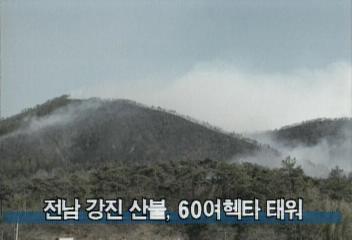 전남 강진 산불 60여헥타 태워백지연