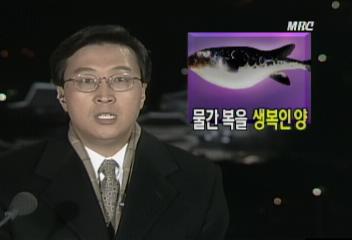 수입 냉동 복어 국내산 생복으로 속여 판매윤영무
