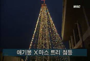 애기봉  크리스마스 트리 점등김지은