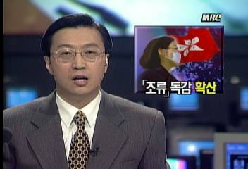 홍콩 조류 독감 확산권순표