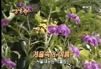 영상 뉴스겨울속의 여름 서울대공원 식물원