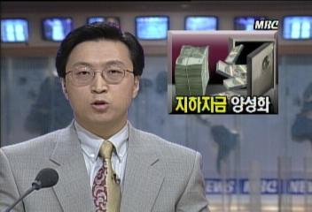 금융실명제 보완책 지하자금 양성화에 초점홍은주