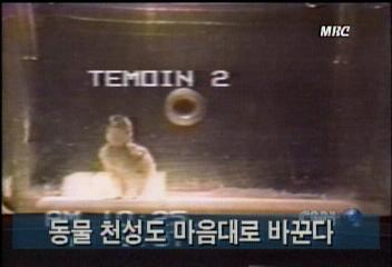 동물 천성도 마음대로 바꾼다김지은