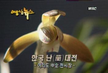 영상뉴스한국   대전