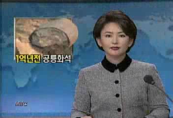 경북북도 의성에서 1억년전 추정 공룡화석 발견유선경