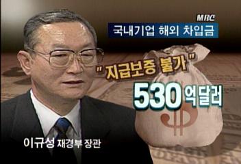 기업 외채 500억달러 정부 지급 보증 안해이진희