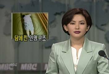 119구조대 2층 옥상에서 추락 담에 낀 할머니손자 구조유상하