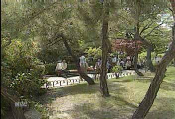 보건사회연구원치매노인 21만 8천여명 추정정혜정