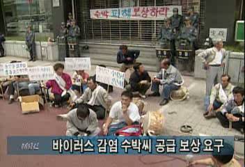 충남 서천군 농민들 바이러스 감염 수박씨 공급 보상 시위정혜정