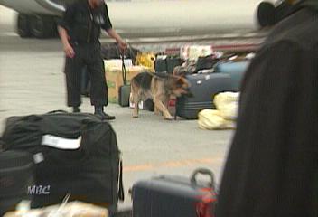 여객기 폭파 협박문 인터넷 올라 김포공항 비상이진숙