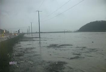 태풍피해 포항 강릉 전주 연결김형일 김동윤 이창익